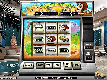Safari Madness
